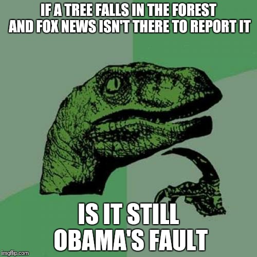 Philosoraptor | IF A TREE FALLS IN THE FOREST AND FOX NEWS ISN'T THERE TO REPORT IT IS IT STILL OBAMA'S FAULT | image tagged in memes,philosoraptor | made w/ Imgflip meme maker