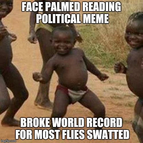 Third World Success Kid | FACE PALMED READING POLITICAL MEME BROKE WORLD RECORD FOR MOST FLIES SWATTED | image tagged in memes,third world success kid | made w/ Imgflip meme maker