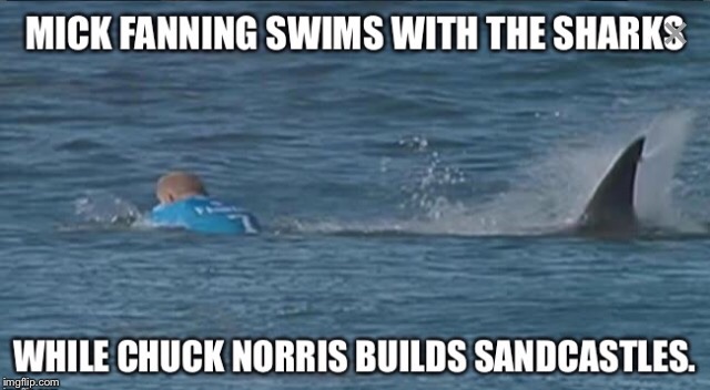 Mick Fanning | image tagged in shark attack | made w/ Imgflip meme maker