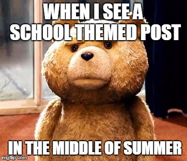 not necessarily on imgflip | WHEN I SEE A SCHOOL THEMED POST IN THE MIDDLE OF SUMMER | image tagged in memes,ted | made w/ Imgflip meme maker