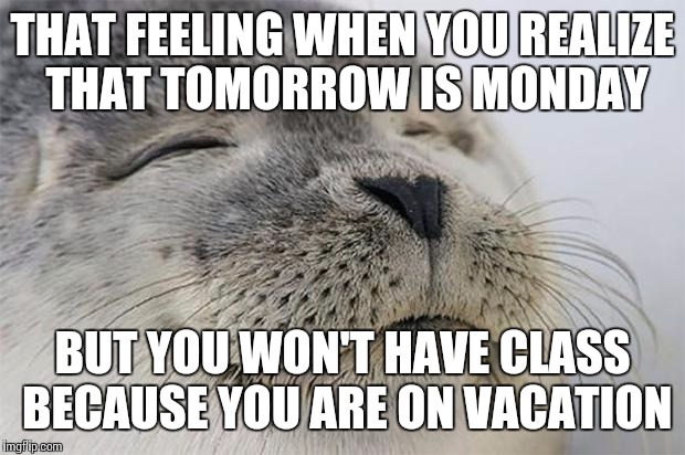 Satisfied Seal Meme | THAT FEELING WHEN YOU REALIZE THAT TOMORROW IS MONDAY BUT YOU WON'T HAVE CLASS BECAUSE YOU ARE ON VACATION | image tagged in memes,satisfied seal | made w/ Imgflip meme maker