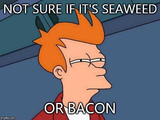 Futurama Fry | NOT SURE IF IT'S SEAWEED OR BACON | image tagged in memes,futurama fry | made w/ Imgflip meme maker