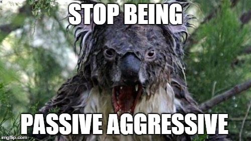 Angry Koala Meme | STOP BEING PASSIVE AGGRESSIVE | image tagged in memes,angry koala | made w/ Imgflip meme maker