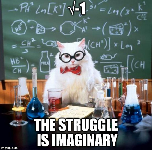 Chemistry Cat | √-1 THE STRUGGLE IS IMAGINARY | image tagged in memes,chemistry cat | made w/ Imgflip meme maker