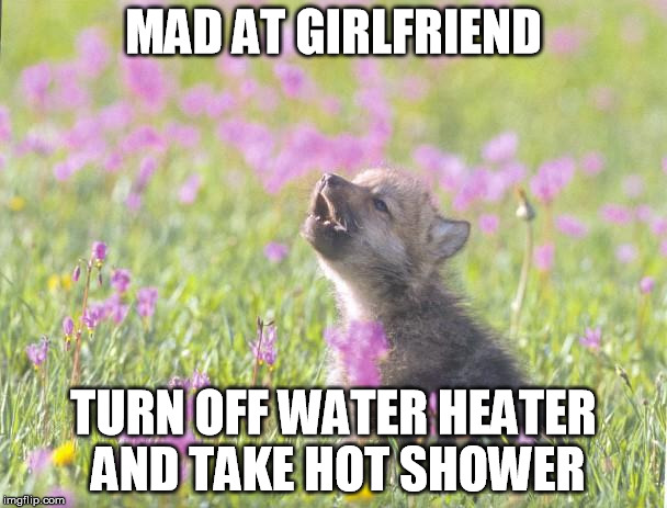 Baby Insanity Wolf Meme | MAD AT GIRLFRIEND TURN OFF WATER HEATER AND TAKE HOT SHOWER | image tagged in memes,baby insanity wolf,AdviceAnimals | made w/ Imgflip meme maker