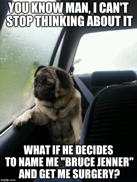 Introspective Pug | YOU KNOW MAN, I CAN'T STOP THINKING ABOUT IT WHAT IF HE DECIDES TO NAME ME "BRUCE JENNER" AND GET ME SURGERY? | image tagged in introspective pug | made w/ Imgflip meme maker