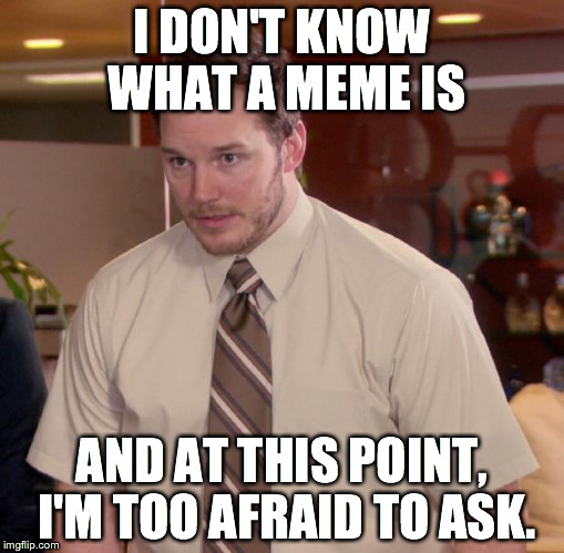 Afraid To Ask Andy Meme | I DON'T KNOW WHAT A MEME IS AND AT THIS POINT, I'M TOO AFRAID TO ASK. | image tagged in memes,afraid to ask andy | made w/ Imgflip meme maker