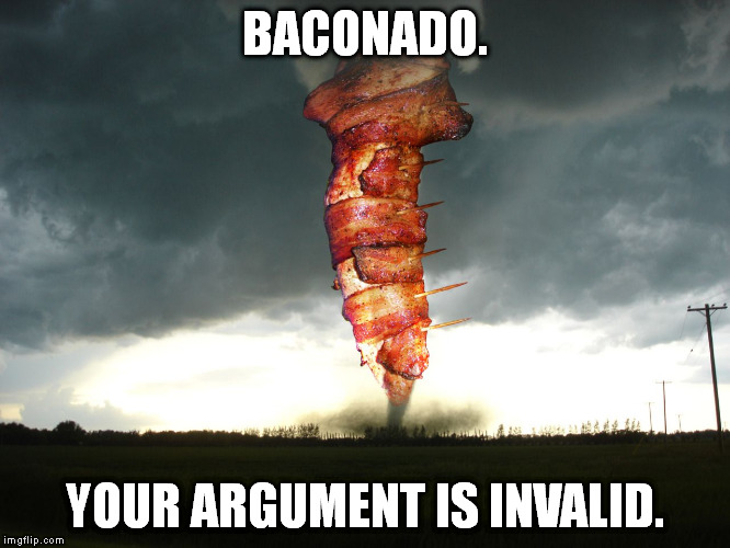 Baconado | BACONADO. YOUR ARGUMENT IS INVALID. | image tagged in memes,baconado | made w/ Imgflip meme maker