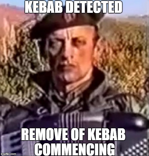 KEBAB DETECTED REMOVE OF KEBAB COMMENCING | image tagged in kebab | made w/ Imgflip meme maker