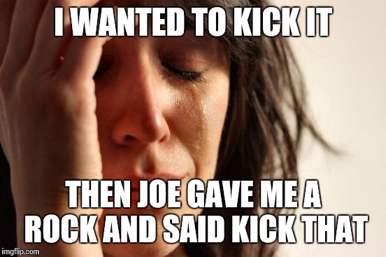 First World Problems | I WANTED TO KICK IT THEN JOE GAVE ME A ROCK AND SAID KICK THAT | image tagged in memes,first world problems | made w/ Imgflip meme maker