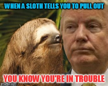 Donald Trump gets advice from a sloth | WHEN A SLOTH TELLS YOU TO PULL OUT YOU KNOW YOU'RE IN TROUBLE | image tagged in sloth,donald trump,memes | made w/ Imgflip meme maker