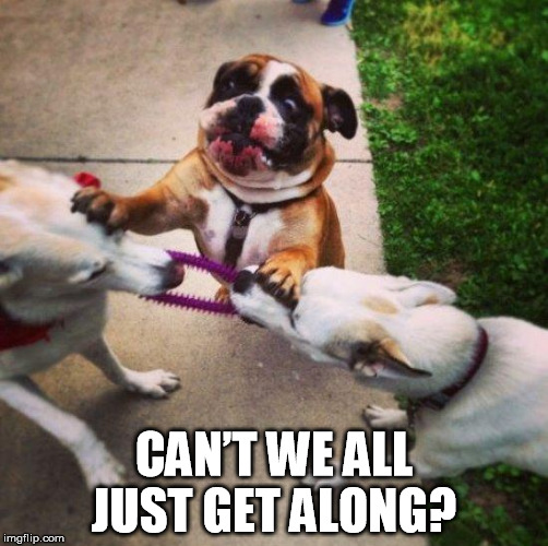 Can t We Just Get Along Imgflip