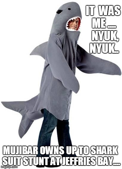 Shark Dressed Man Costume - Imgflip