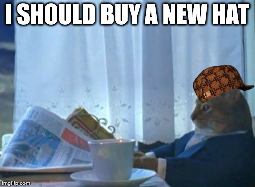 I Should Buy A Boat Cat Meme | I SHOULD BUY A NEW HAT | image tagged in memes,i should buy a boat cat,scumbag | made w/ Imgflip meme maker