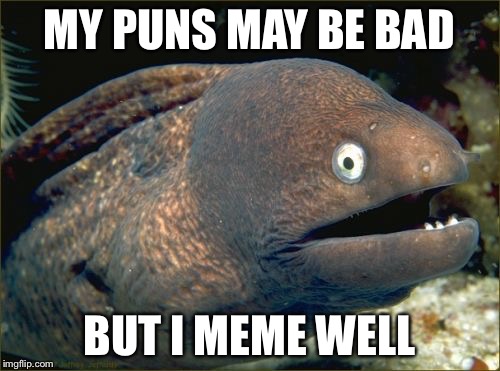 Bad Joke Eel | MY PUNS MAY BE BAD BUT I MEME WELL | image tagged in memes,bad joke eel | made w/ Imgflip meme maker
