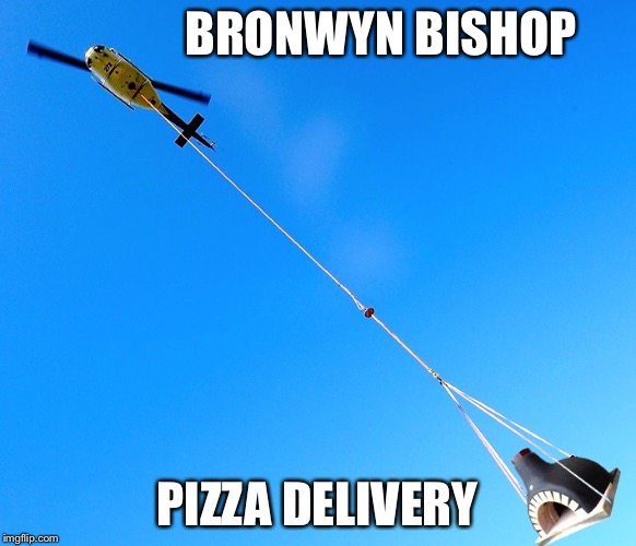 BRONWYN BISHOP PIZZA DELIVERY | image tagged in bb pizza | made w/ Imgflip meme maker