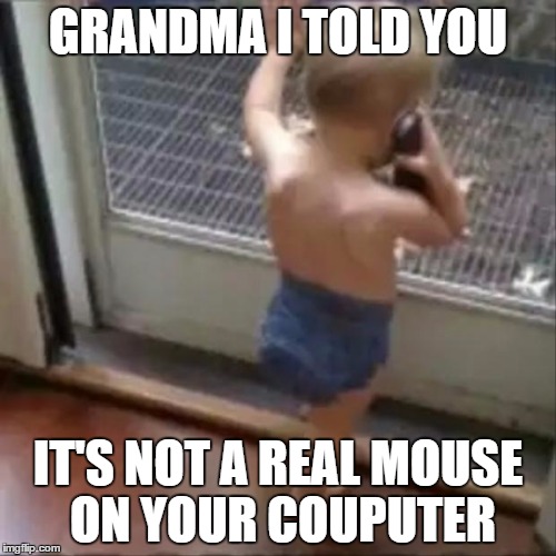 baby phone | GRANDMA I TOLD YOU IT'S NOT A REAL MOUSE ON YOUR COUPUTER | image tagged in baby phone | made w/ Imgflip meme maker