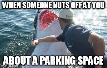 Shark punch | WHEN SOMEONE NUTS OFF AT YOU ABOUT A PARKING SPACE | image tagged in shark punch | made w/ Imgflip meme maker
