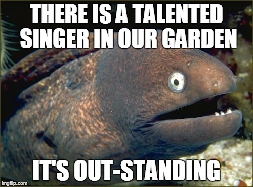 This may be a bit hard to get | THERE IS A TALENTED SINGER IN OUR GARDEN IT'S OUT-STANDING | image tagged in memes,bad joke eel | made w/ Imgflip meme maker