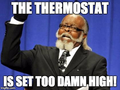 Too Damn High Meme | THE THERMOSTAT IS SET TOO DAMN HIGH! | image tagged in memes,too damn high | made w/ Imgflip meme maker