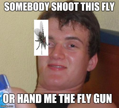 I think fly-swatter are the words you are looking for.  Sorry grandma but that was funny. | SOMEBODY SHOOT THIS FLY OR HAND ME THE FLY GUN | image tagged in memes,10 guy | made w/ Imgflip meme maker