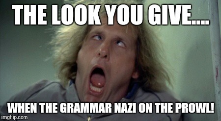Scary Harry Meme | THE LOOK YOU GIVE.... WHEN THE GRAMMAR NAZI ON THE PROWL! | image tagged in memes,scary harry | made w/ Imgflip meme maker