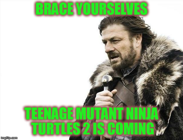 Brace Yourselves X is Coming | BRACE YOURSELVES TEENAGE MUTANT NINJA TURTLES 2 IS COMING | image tagged in memes,brace yourselves x is coming,turtles,michael bay,one does not simply | made w/ Imgflip meme maker