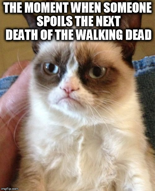Grumpy Cat | THE MOMENT WHEN SOMEONE SPOILS THE NEXT DEATH OF THE WALKING DEAD | image tagged in memes,grumpy cat | made w/ Imgflip meme maker