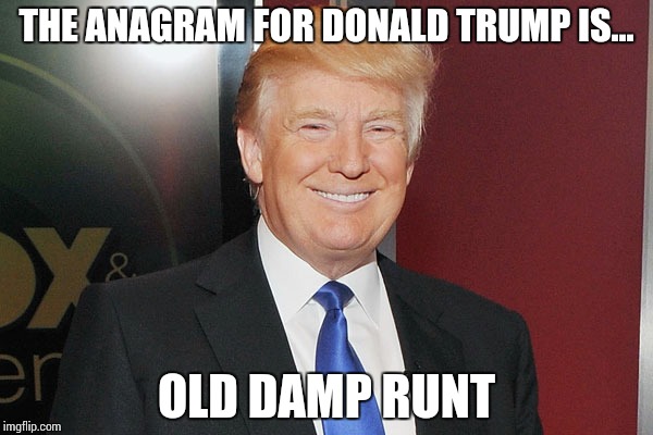 THE ANAGRAM FOR DONALD TRUMP IS... OLD DAMP RUNT | image tagged in don | made w/ Imgflip meme maker
