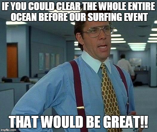 That Would Be Great Meme | IF YOU COULD CLEAR THE WHOLE ENTIRE OCEAN BEFORE OUR SURFING EVENT THAT WOULD BE GREAT!! | image tagged in memes,that would be great | made w/ Imgflip meme maker
