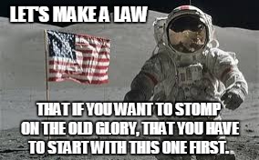 LET'S MAKE A LAW THAT IF YOU WANT TO STOMP ON THE OLD GLORY, THAT YOU HAVE TO START WITH THIS ONE FIRST. | image tagged in awesome astronaut | made w/ Imgflip meme maker