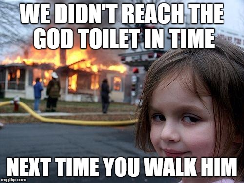 Disaster Girl Meme | WE DIDN'T REACH THE GOD TOILET IN TIME NEXT TIME YOU WALK HIM | image tagged in memes,disaster girl | made w/ Imgflip meme maker