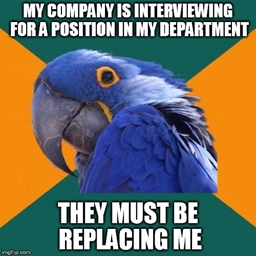 Paranoid Parrot | MY COMPANY IS INTERVIEWING FOR A POSITION IN MY DEPARTMENT THEY MUST BE REPLACING ME | image tagged in memes,paranoid parrot,AdviceAnimals | made w/ Imgflip meme maker