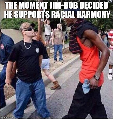 Racial Harmony | THE MOMENT JIM-BOB DECIDED HE SUPPORTS RACIAL HARMONY | image tagged in racial harmony | made w/ Imgflip meme maker