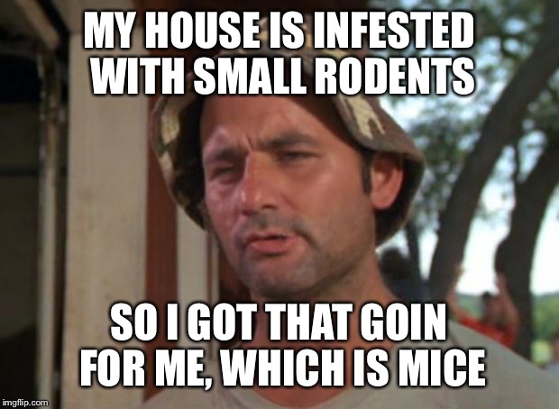 So I Got That Goin For Me Which Is Nice | MY HOUSE IS INFESTED WITH SMALL RODENTS SO I GOT THAT GOIN FOR ME, WHICH IS MICE | image tagged in memes,so i got that goin for me which is nice | made w/ Imgflip meme maker