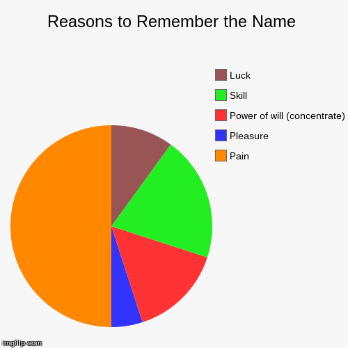 Reasons to Remember the Name | Pain, Pleasure, Power of will (concentrate), Skill, Luck | image tagged in funny,pie charts,funnycharts | made w/ Imgflip chart maker