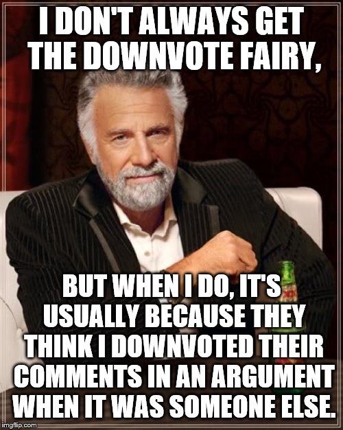 The Most Interesting Man In The World | I DON'T ALWAYS GET THE DOWNVOTE FAIRY, BUT WHEN I DO, IT'S USUALLY BECAUSE THEY THINK I DOWNVOTED THEIR COMMENTS IN AN ARGUMENT WHEN IT WAS  | image tagged in memes,the most interesting man in the world | made w/ Imgflip meme maker