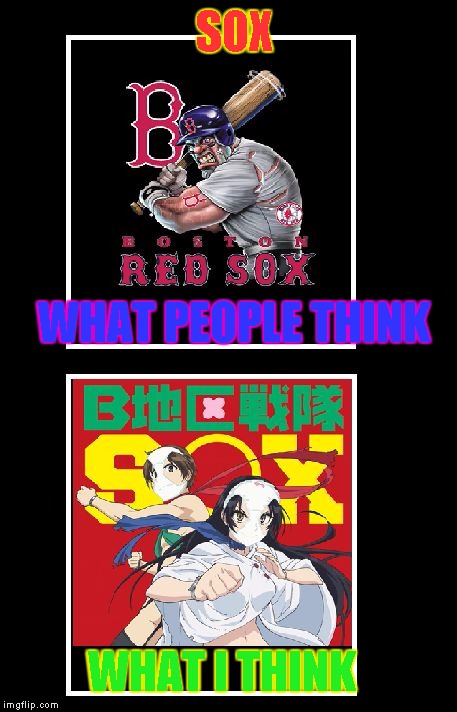 WHAT PEOPLE THINK WHAT I THINK SOX | image tagged in sox | made w/ Imgflip meme maker