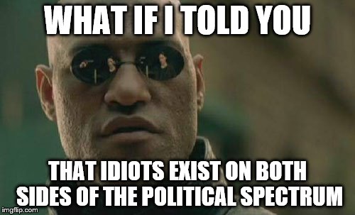 Morpheus and Politics | WHAT IF I TOLD YOU THAT IDIOTS EXIST ON BOTH SIDES OF THE POLITICAL SPECTRUM | image tagged in memes,matrix morpheus,politics,political,idiot | made w/ Imgflip meme maker