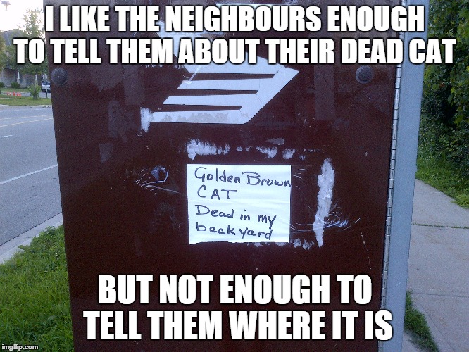 Dead Cat | I LIKE THE NEIGHBOURS ENOUGH TO TELL THEM ABOUT THEIR DEAD CAT BUT NOT ENOUGH TO TELL THEM WHERE IT IS | image tagged in cats,funny sign,funny cat | made w/ Imgflip meme maker
