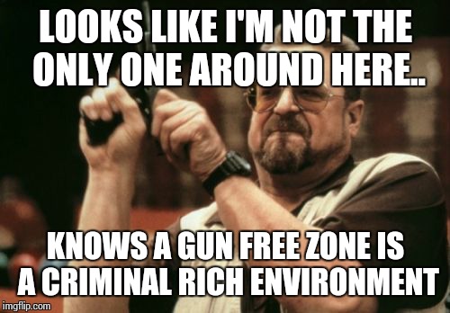 Am I The Only One Around Here Meme | LOOKS LIKE I'M NOT THE ONLY ONE AROUND HERE.. KNOWS A GUN FREE ZONE IS A CRIMINAL RICH ENVIRONMENT | image tagged in memes,am i the only one around here | made w/ Imgflip meme maker