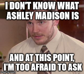 Afraid To Ask Andy (Closeup) Meme | I DON'T KNOW WHAT ASHLEY MADISON IS AND AT THIS POINT, I'M TOO AFRAID TO ASK | image tagged in and i'm too afraid to ask andy | made w/ Imgflip meme maker