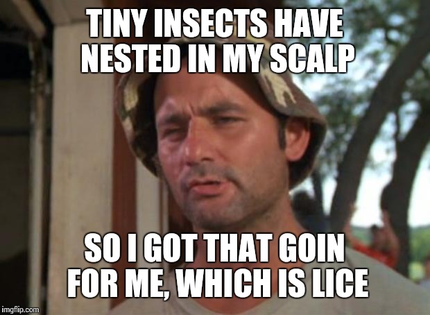 So I Got That Goin For Me Which Is Nice | TINY INSECTS HAVE NESTED IN MY SCALP SO I GOT THAT GOIN FOR ME, WHICH IS LICE | image tagged in memes,so i got that goin for me which is nice | made w/ Imgflip meme maker