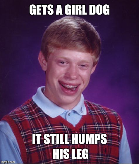 Bad Luck Brian Meme | GETS A GIRL DOG IT STILL HUMPS HIS LEG | image tagged in memes,bad luck brian | made w/ Imgflip meme maker