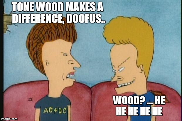 Beavis-and-Butthead | TONE WOOD MAKES A DIFFERENCE, DOOFUS.. WOOD? ... HE HE HE HE HE | image tagged in beavis-and-butthead | made w/ Imgflip meme maker