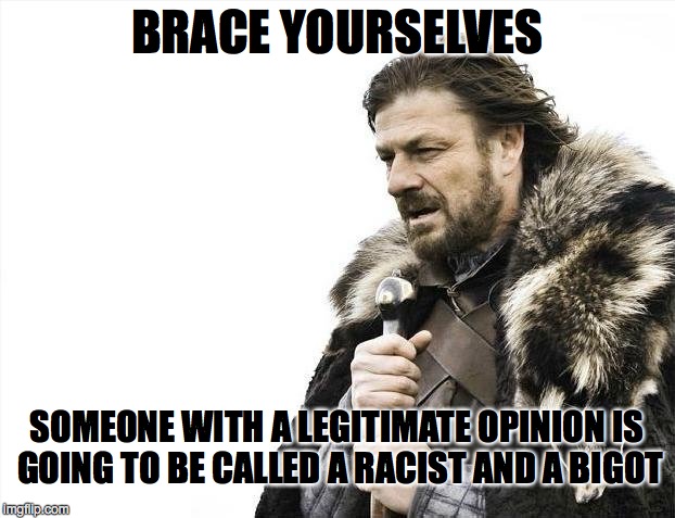 Brace Yourselves X is Coming | BRACE YOURSELVES SOMEONE WITH A LEGITIMATE OPINION IS GOING TO BE CALLED A RACIST AND A BIGOT | image tagged in memes,brace yourselves x is coming | made w/ Imgflip meme maker