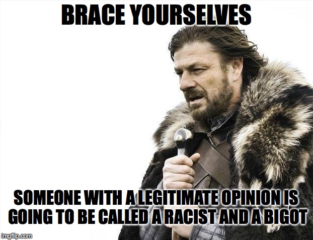 Brace Yourselves X is Coming Meme | BRACE YOURSELVES SOMEONE WITH A LEGITIMATE OPINION IS GOING TO BE CALLED A RACIST AND A BIGOT | image tagged in memes,brace yourselves x is coming | made w/ Imgflip meme maker