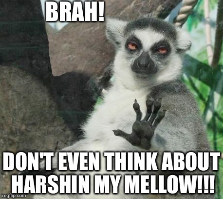 Stoner Lemur | BRAH! DON'T EVEN THINK ABOUT HARSHIN MY MELLOW!!! | image tagged in memes,stoner lemur | made w/ Imgflip meme maker