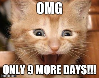 Excited Cat | OMG ONLY 9 MORE DAYS!!! | image tagged in memes,excited cat | made w/ Imgflip meme maker