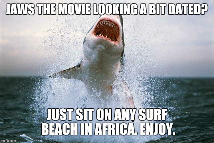 Watched jaws recently and was more impressed after watching world news. | JAWS THE MOVIE LOOKING A BIT DATED? JUST SIT ON ANY SURF BEACH IN AFRICA. ENJOY. | image tagged in memes | made w/ Imgflip meme maker
